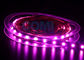 Đèn LED dải 5050 Màu hồng 25000K, 12/24 Volts Đèn LED dải 12mm FPC