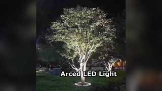 Đèn LED ngầm Arced RGB DMX DALI